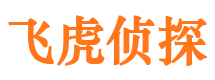 伊川市侦探公司